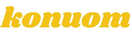 HungSteindsf