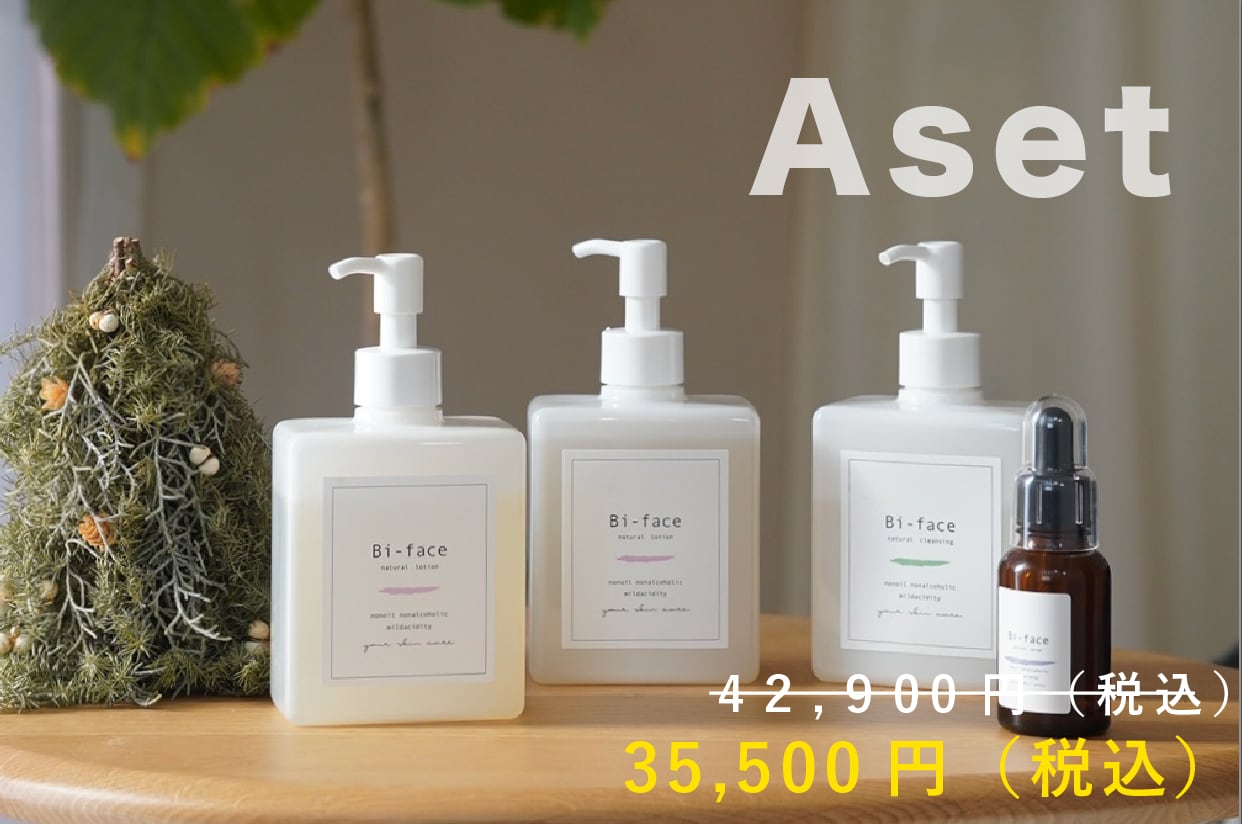 【A】クリスマスセット（ローション2本・クレンジング・セラム）