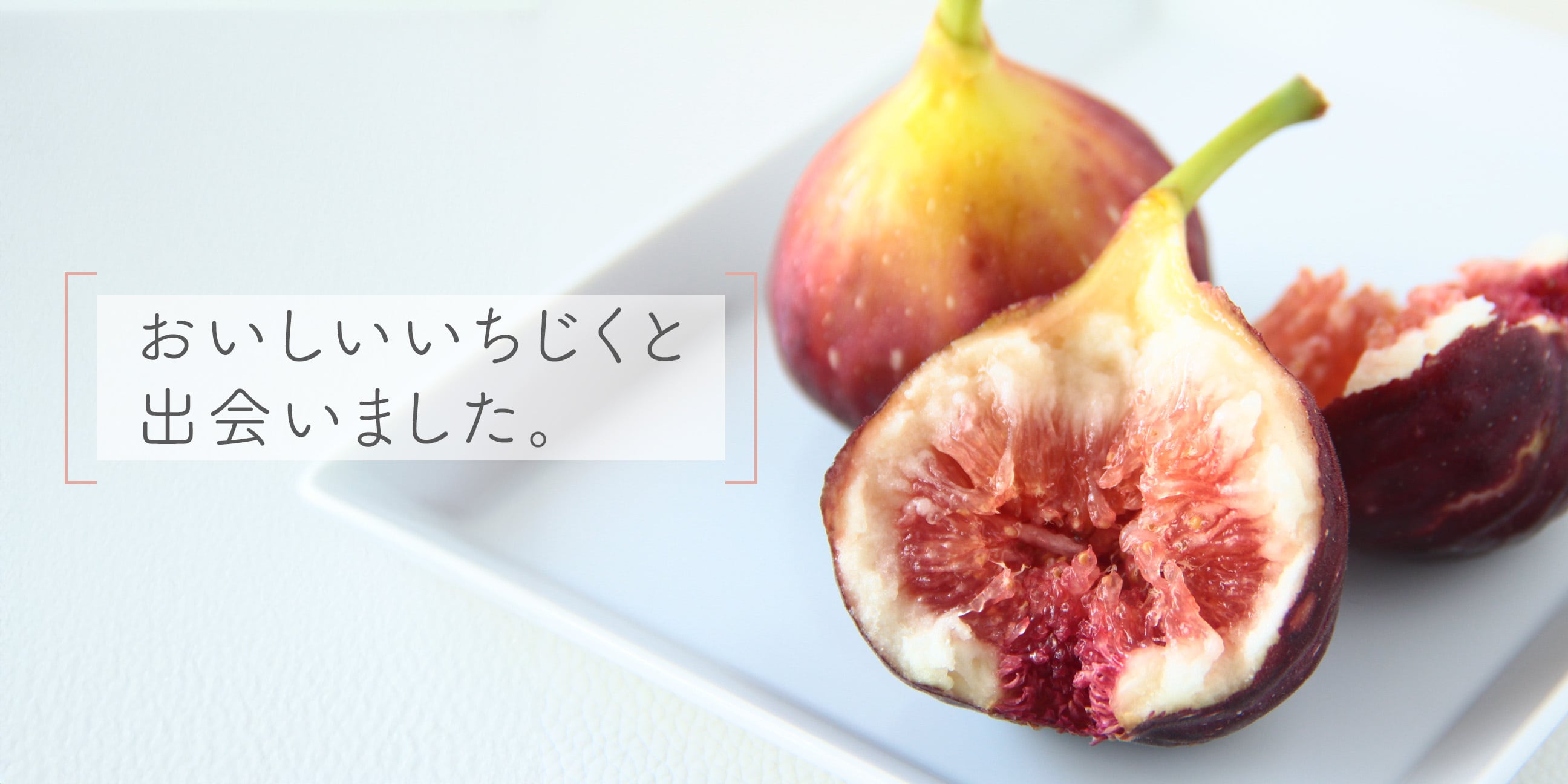 jam and paste hocoro紹介画像2