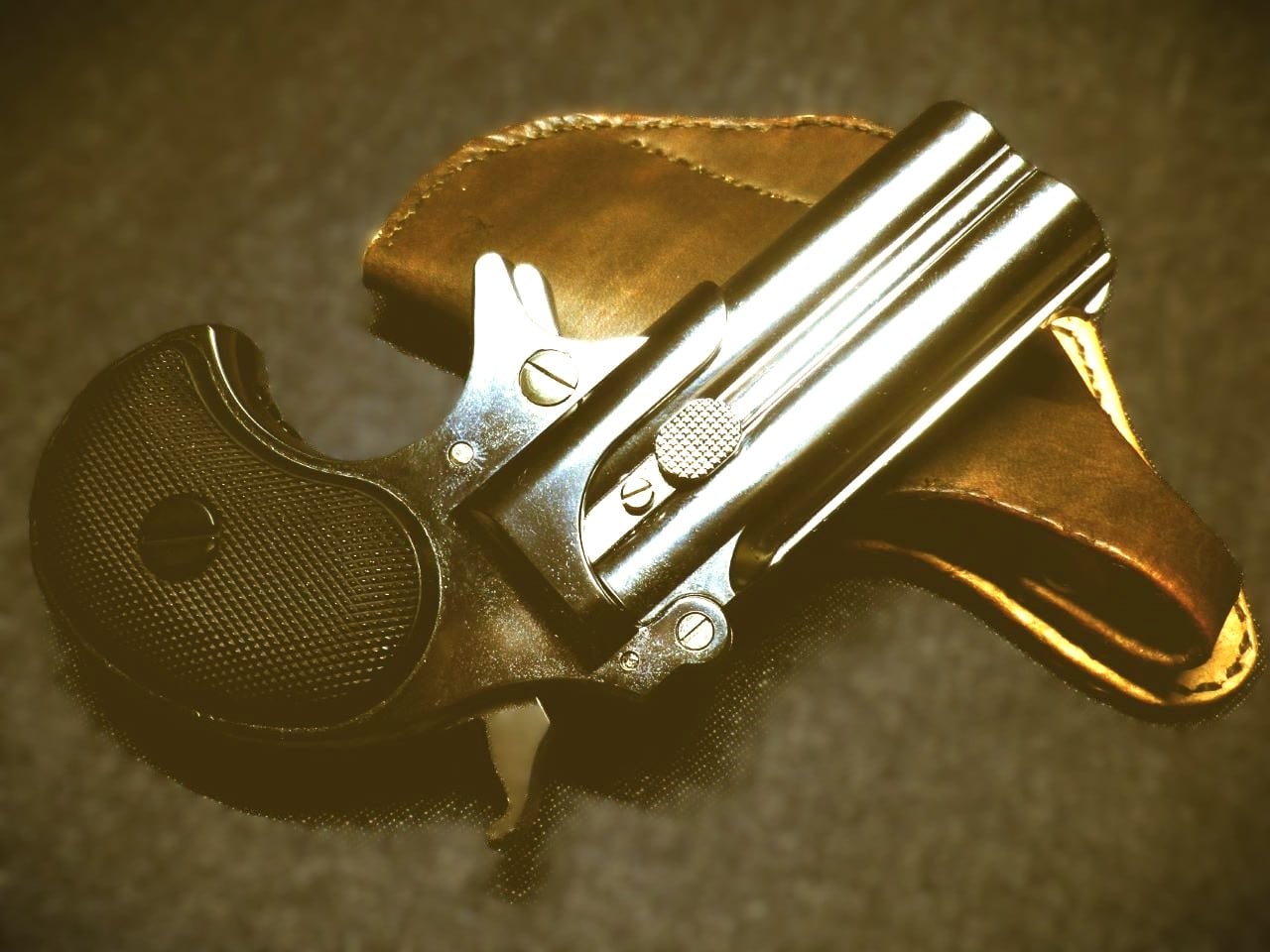 JTGS（ガンホルスターの専門店）