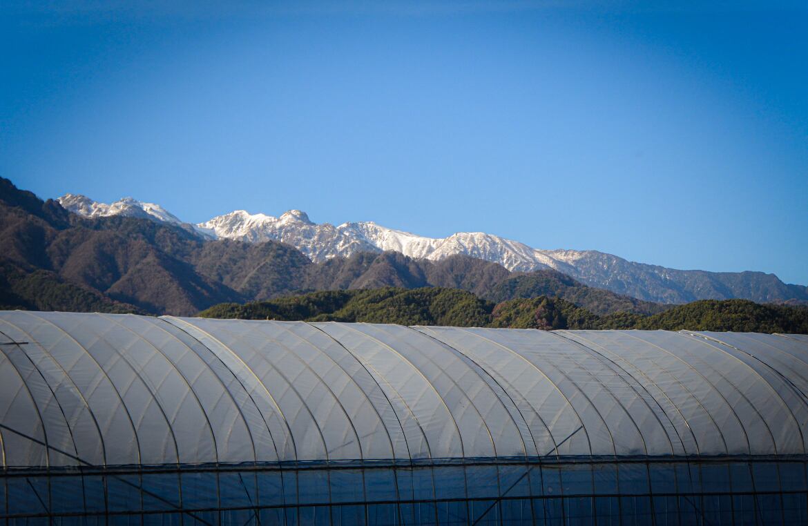 金田農園｜KANADA FARM