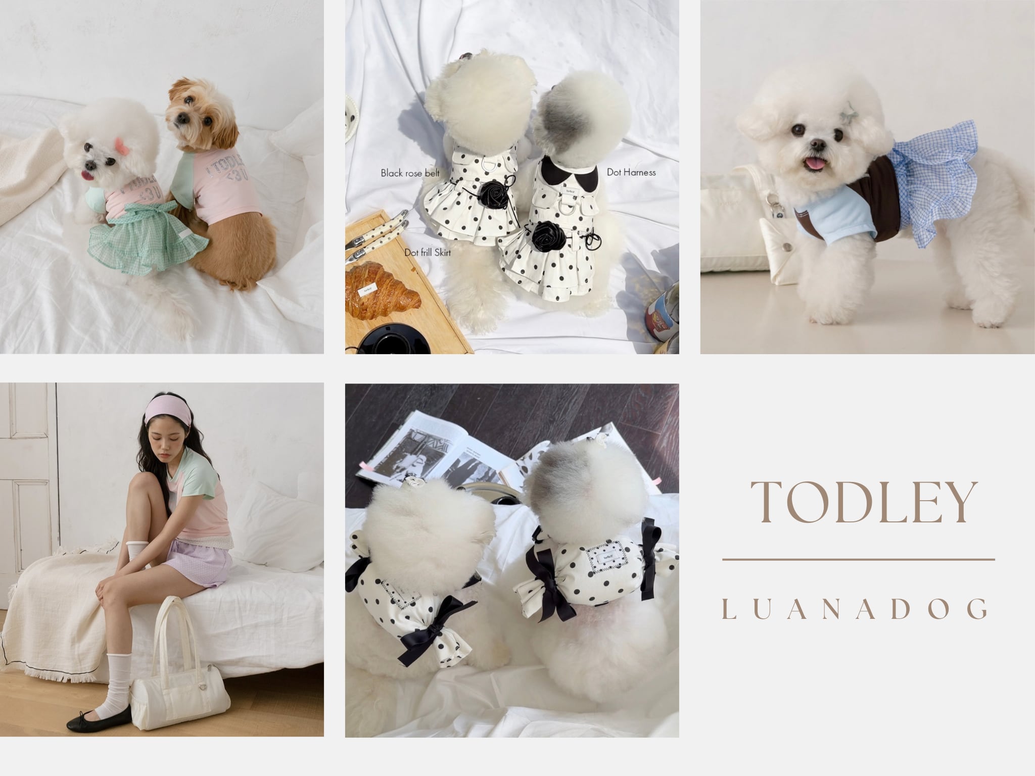 らな様☆犬服✩.*˚ LUANA DOG