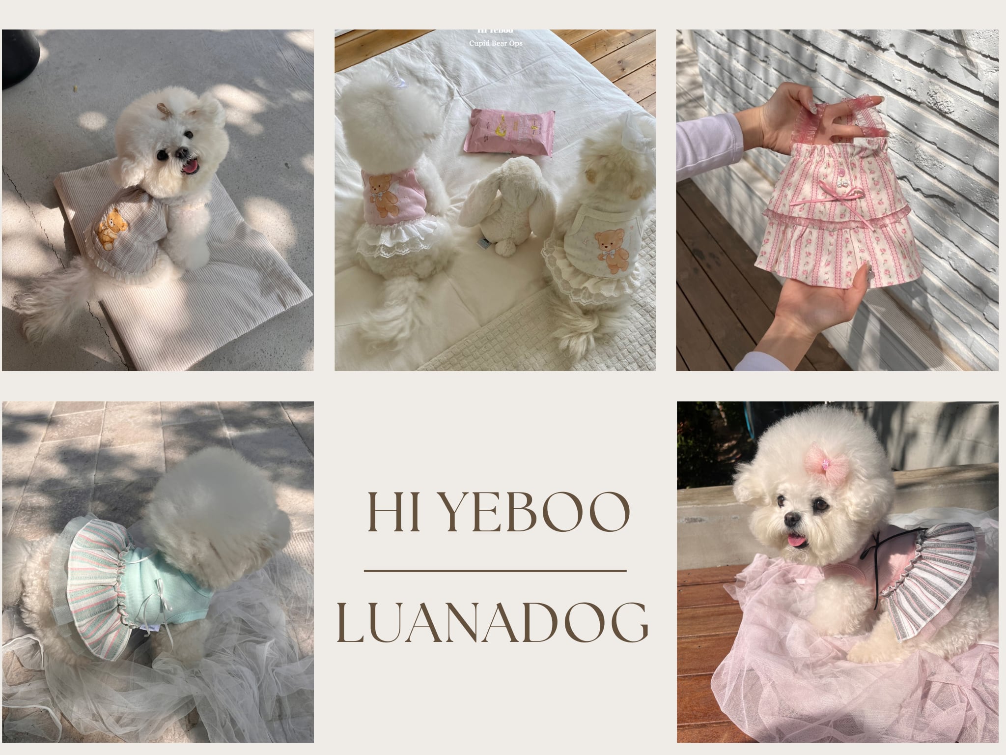 LUANA DOG