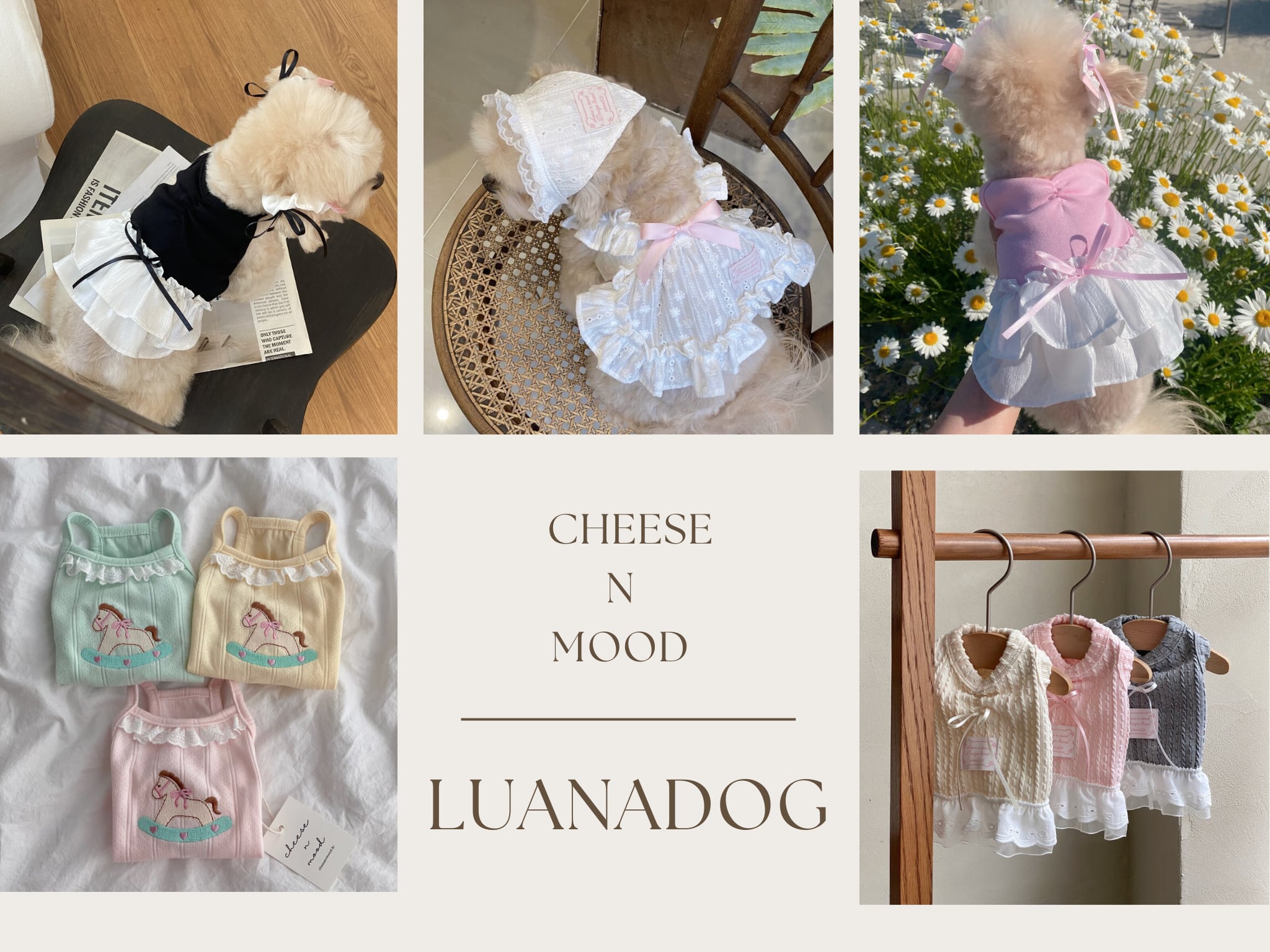 LUANA DOG
