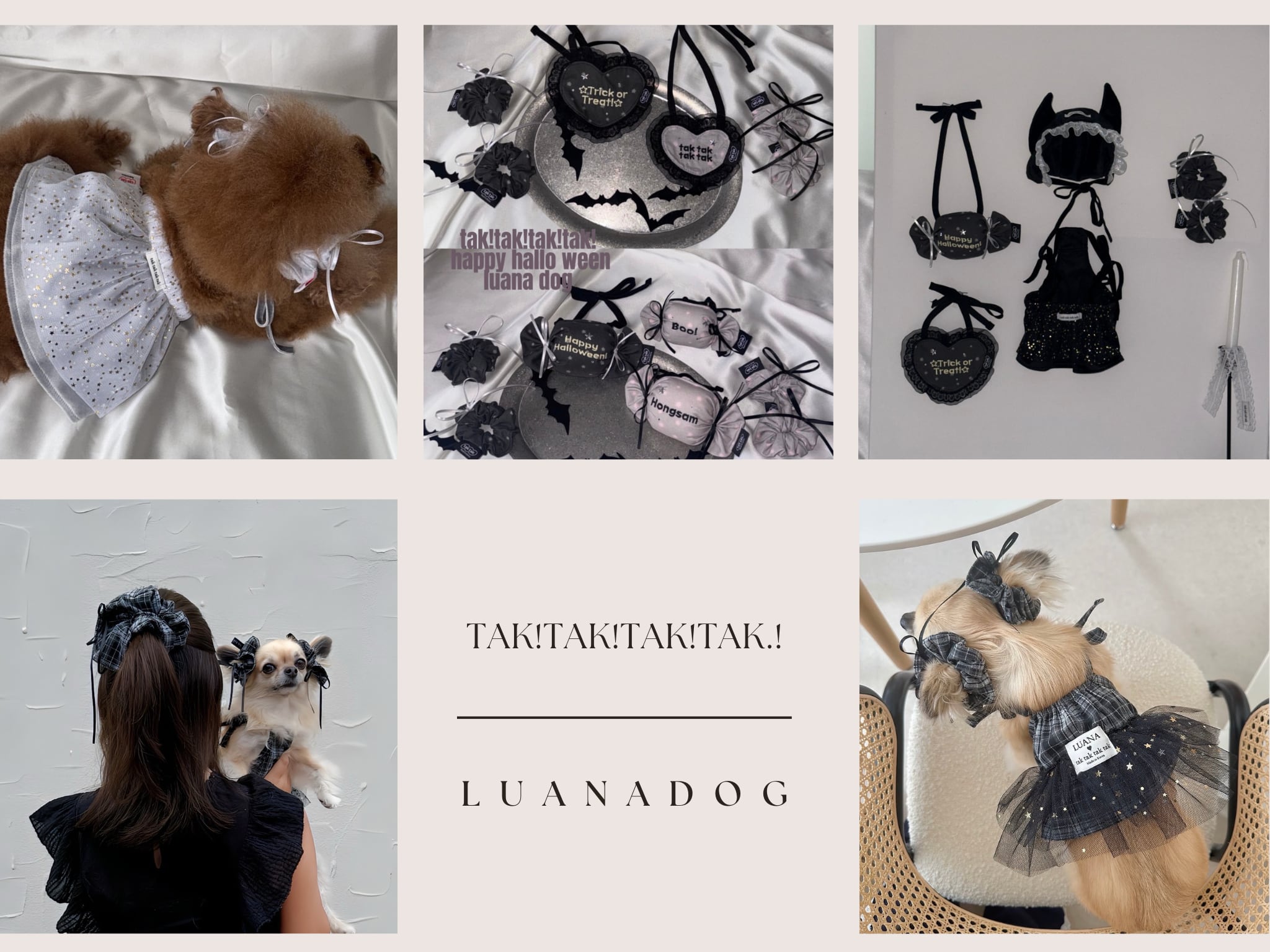 LUANA DOG