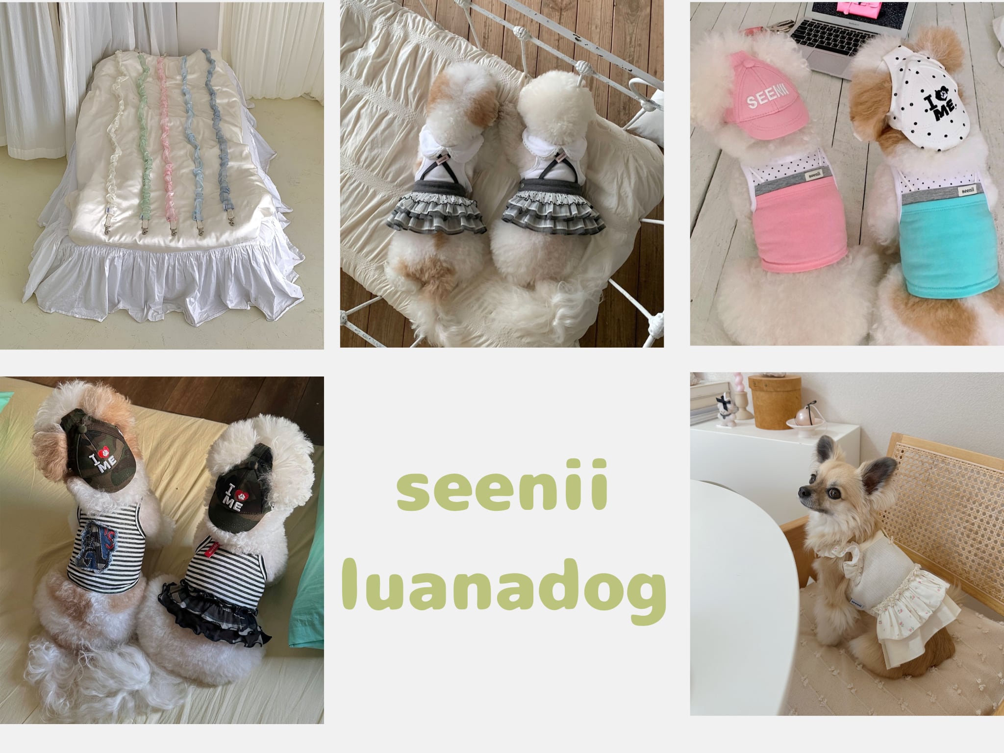 らな様☆犬服✩.*˚ LUANA DOG