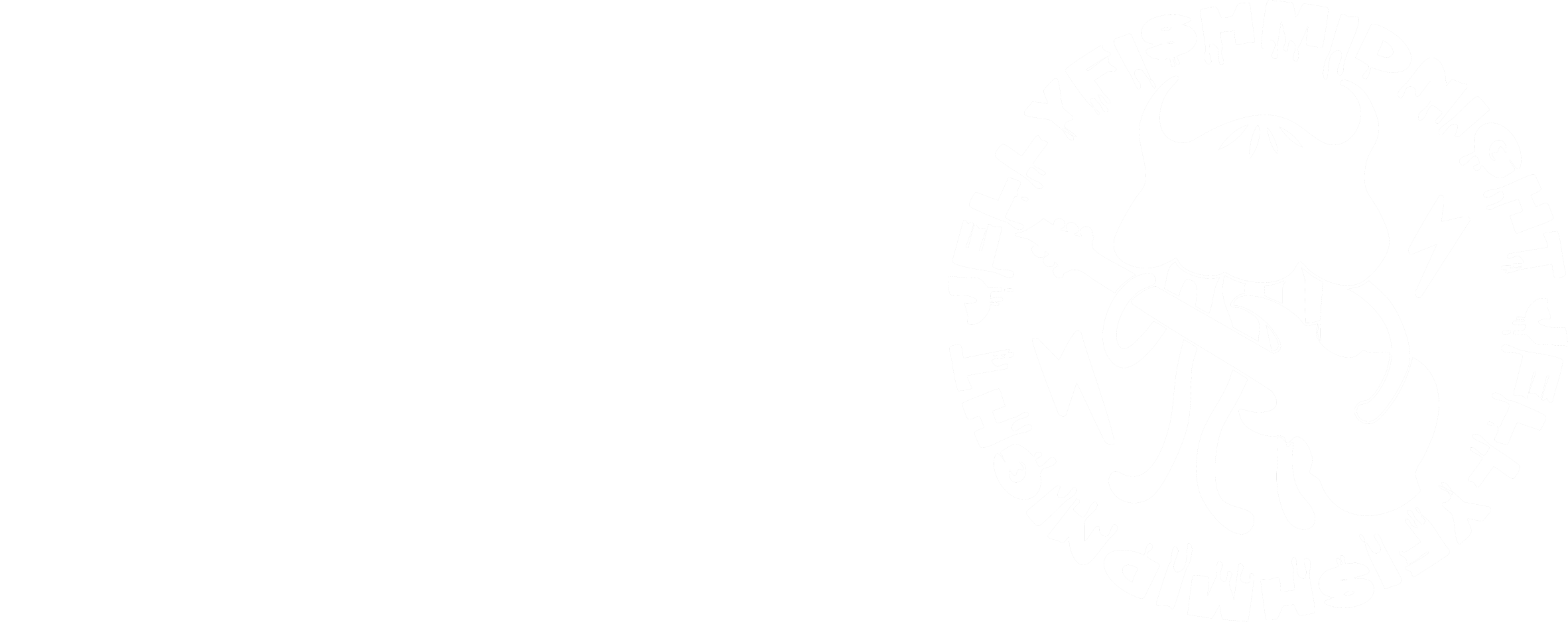 NOCTILUXE × 暴奏海月