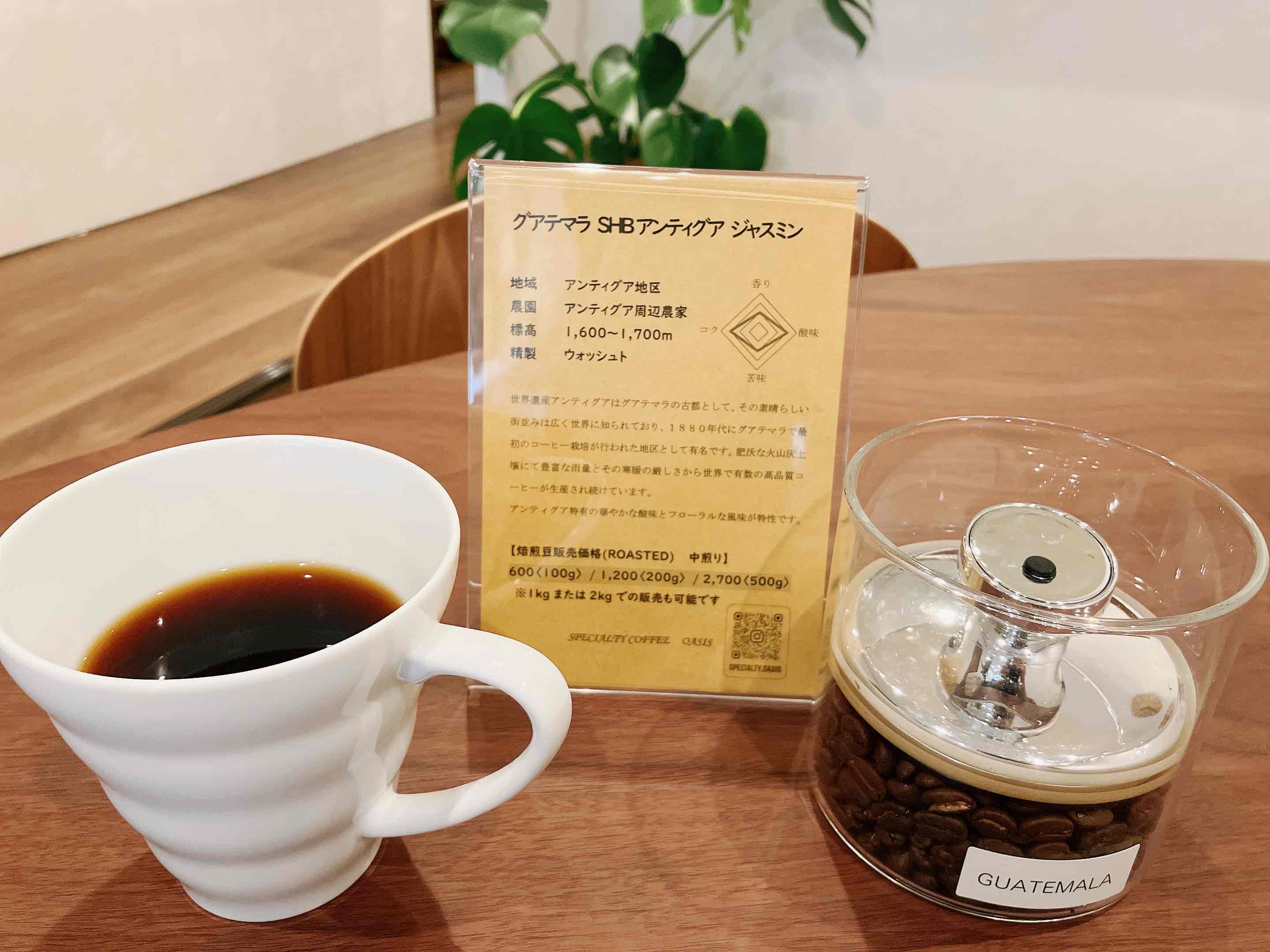 SPECIALTY COFFEE OASIS