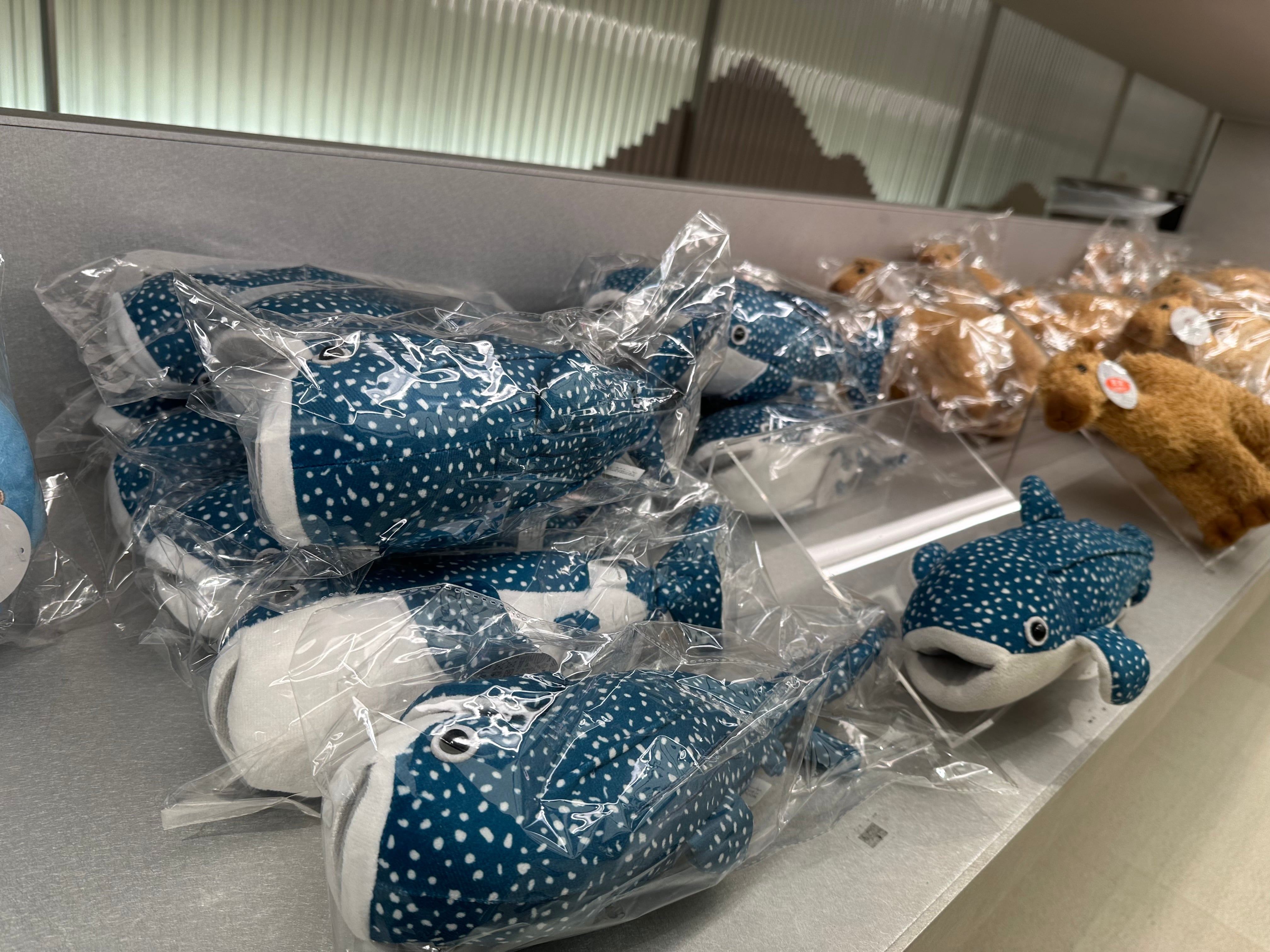 The State of Qatar Pavilion EXPO 2025 Official Gift Shop