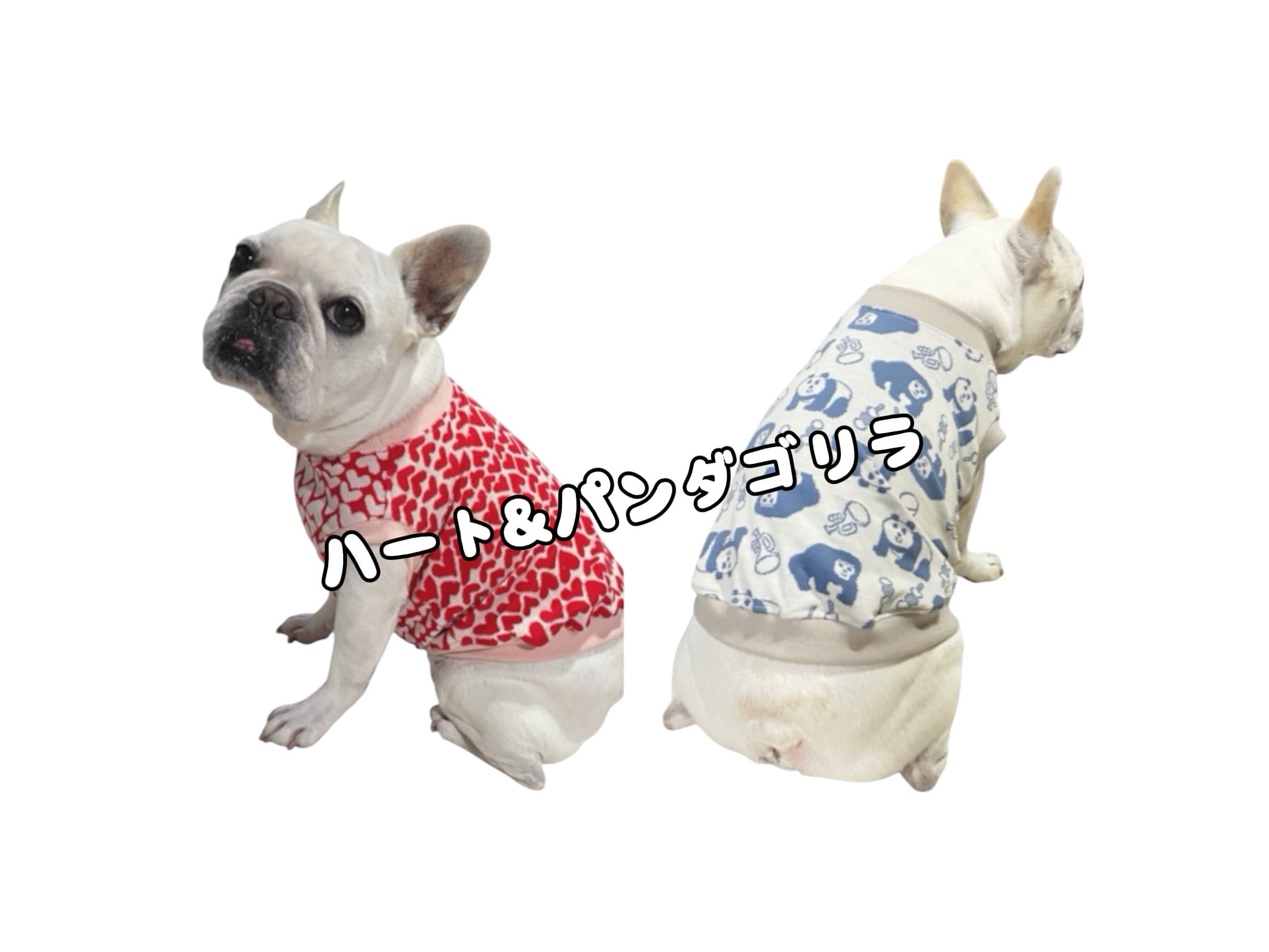 ショップルアナ