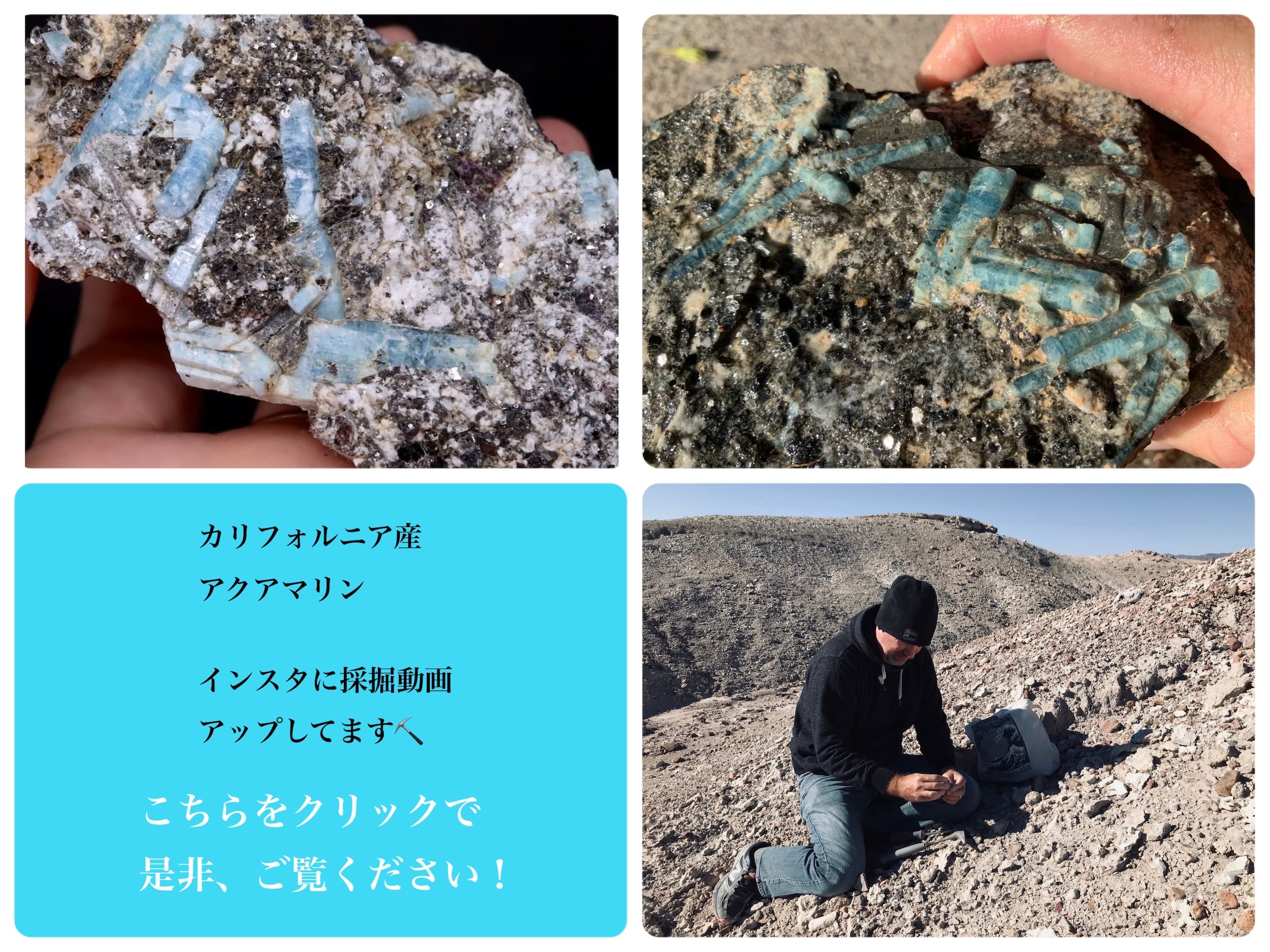 花とギター flower&guiter 鉱石柄 リュック 鉱物 mineral フラワー＆チェックギターケース アコースティック ギターケース