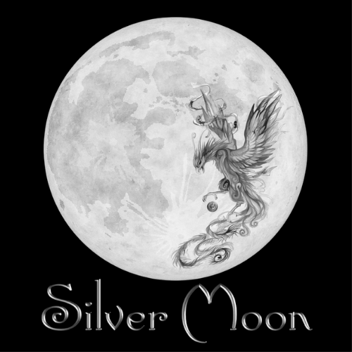 Silver Moon ☾.˖٭