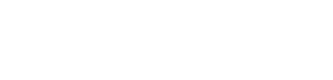 スパイス計画