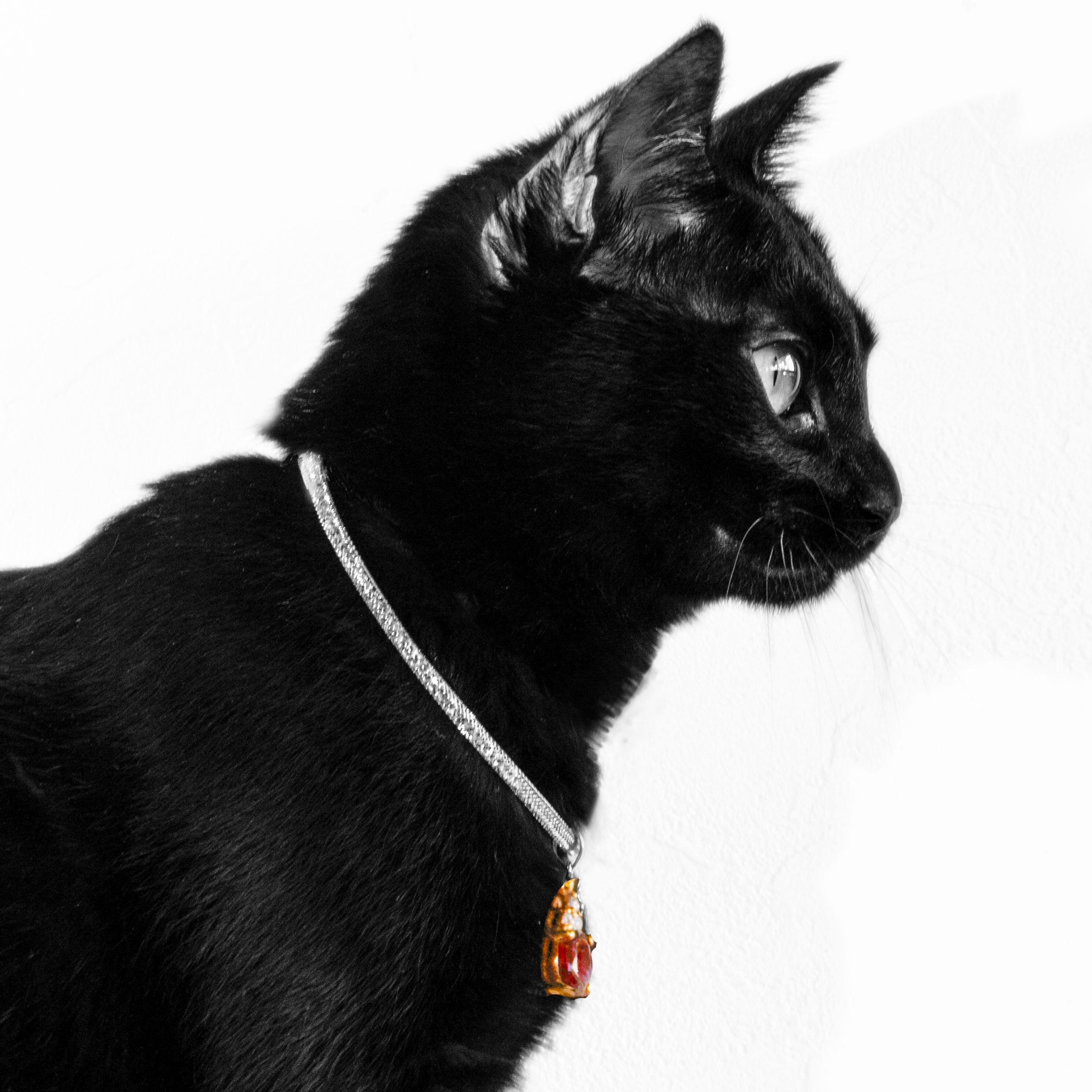 THEE RUBY CATZ ONLINE SHOP