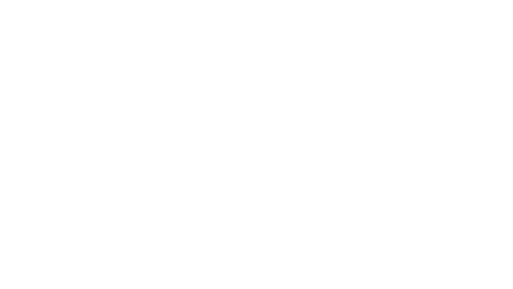 Toko Lotus 【ブロックプリントキルト・インドのお布団】 ブロックプリントキルト・
インドのお布団