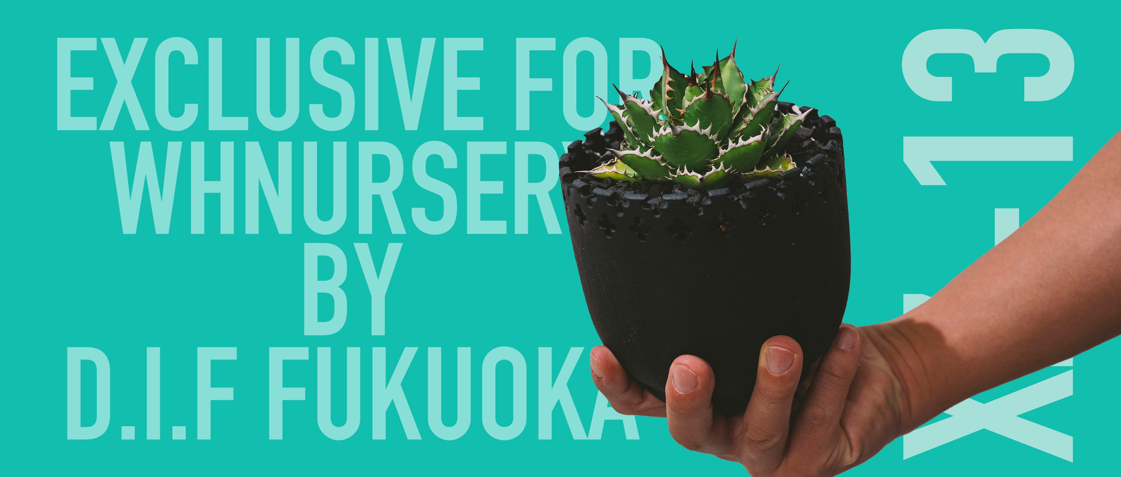 WHNURSERY WHNURSERY
