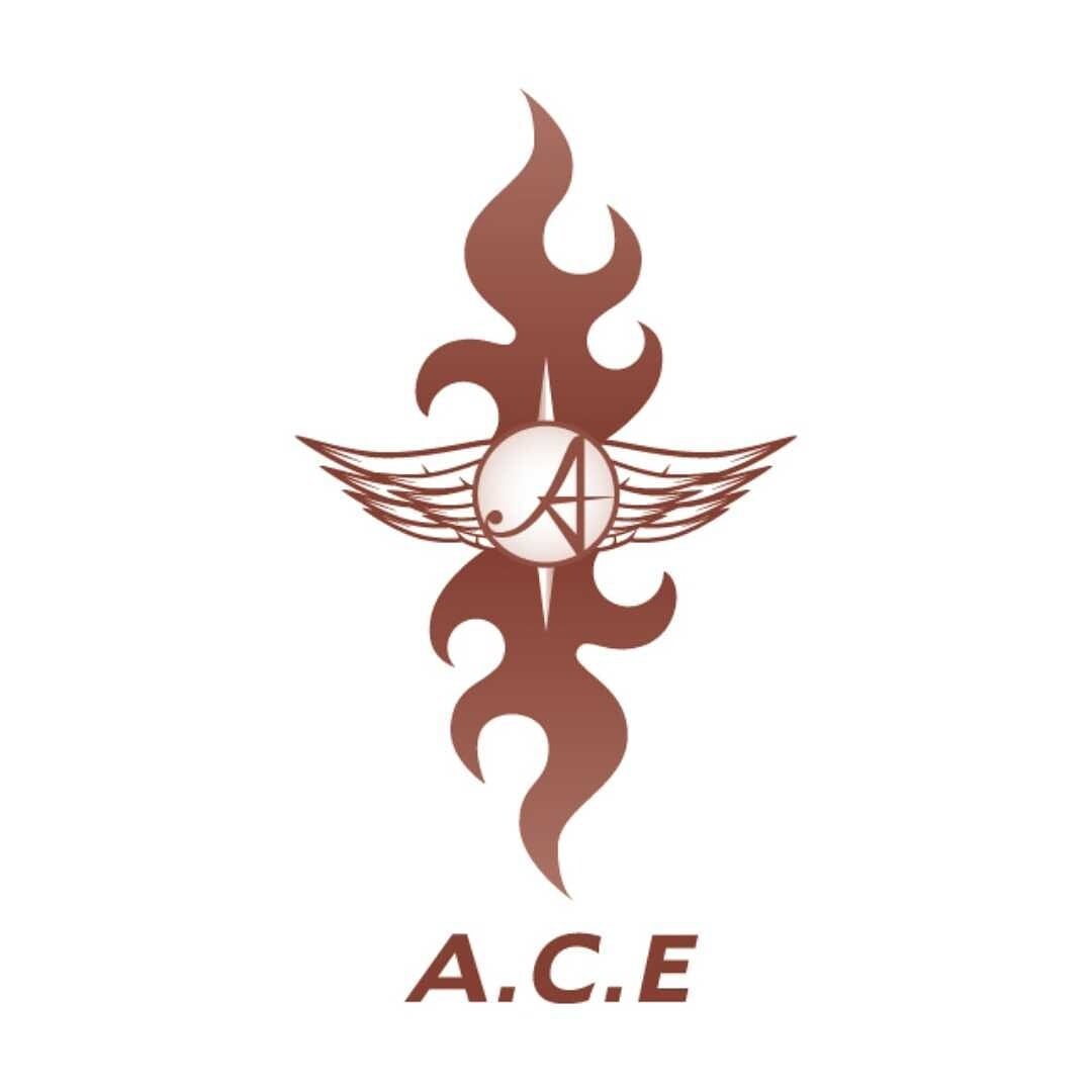 ace2013