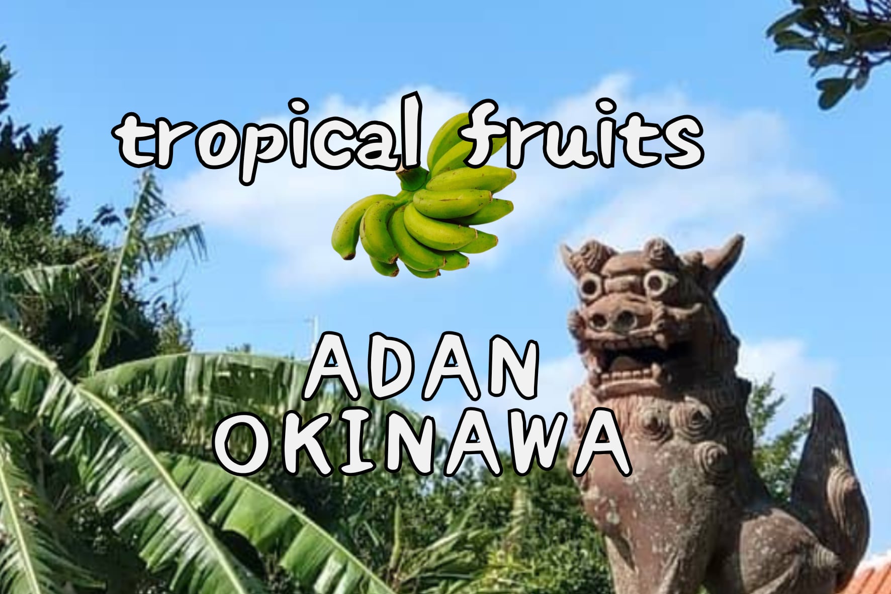 ADAN OKINAWA  アダン沖縄　BASE店　沖縄熱帯フルーツ、島野菜、沖縄特産品販売　ちょっとお取り寄せ