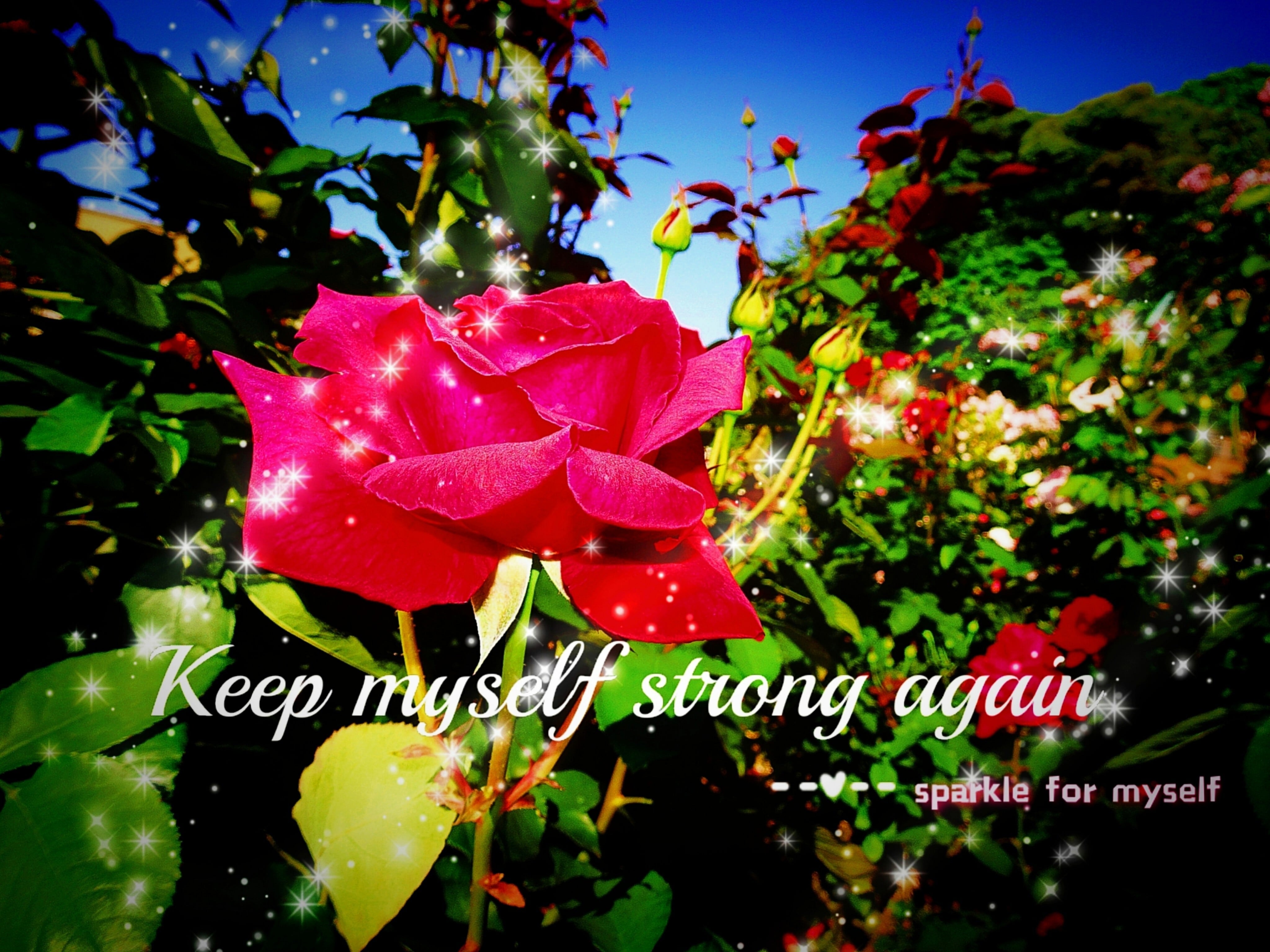 again for myself♥✨੯•`໒✵