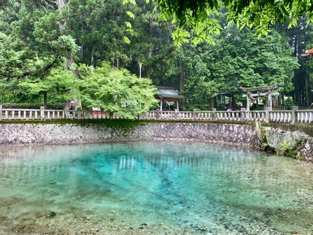 美味しさのヒミツは
大地の恵み☆