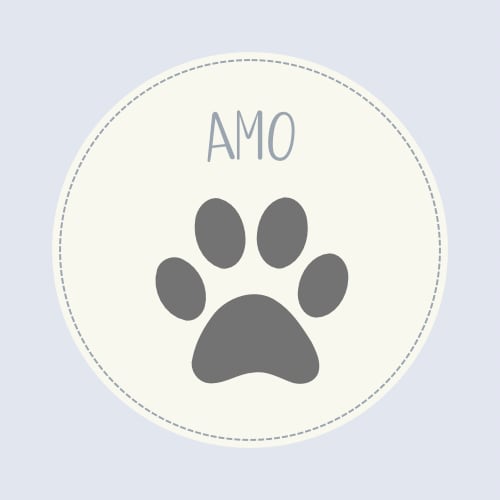 Amo
