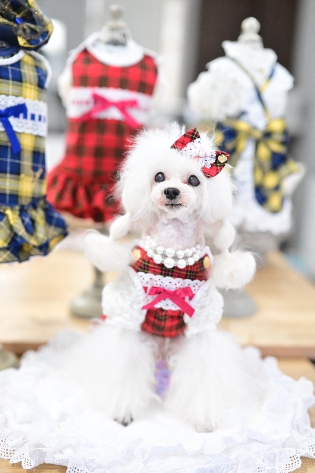 CanNana 犬 服 犬服 犬の服 おしゃれ ブランドセレブ 小型犬