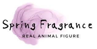 Spring Fragrance