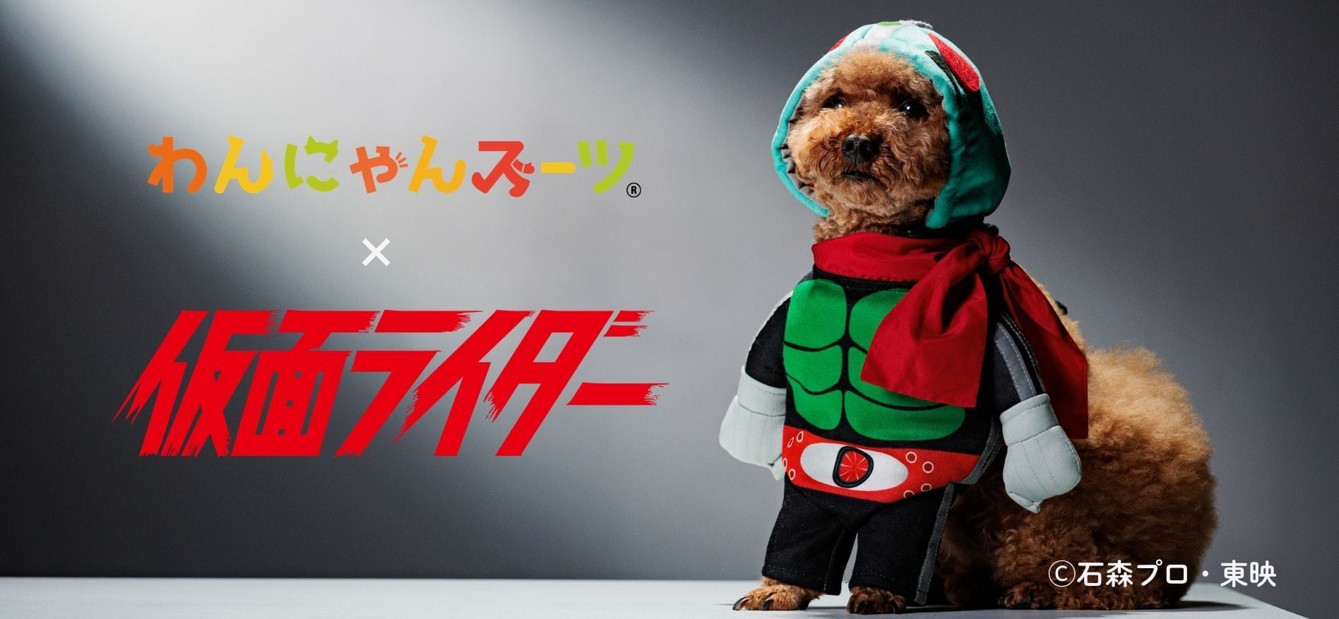 アニマルチップス
