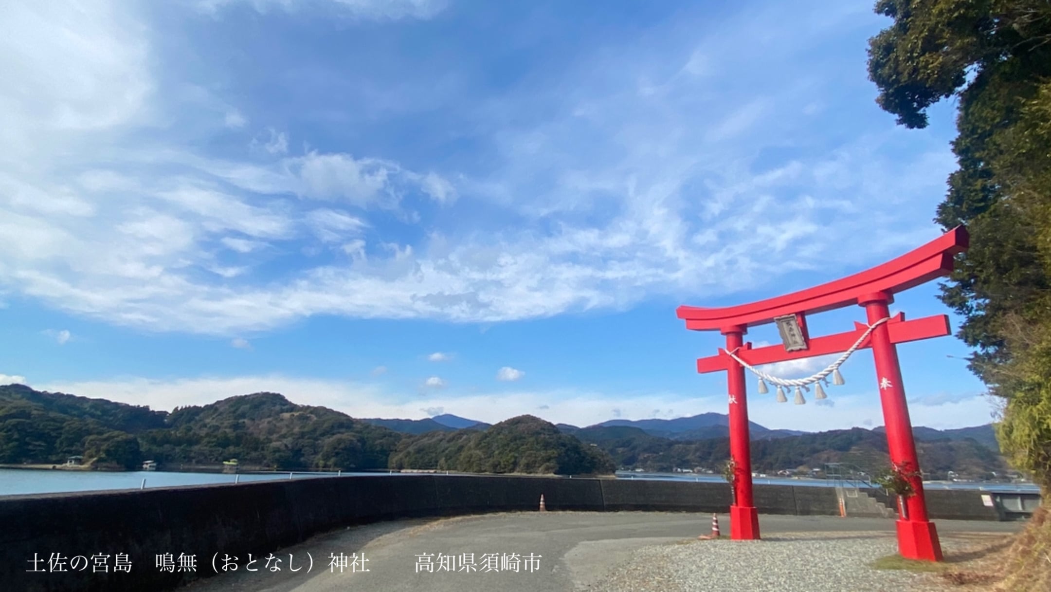 TOSACOYA紹介画像1