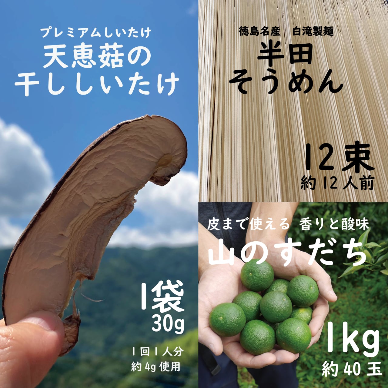 今年も登場！山のすだち、半田そうめん、天恵菇の欲張りセット/8月末頃～9月上旬頃から発送開始