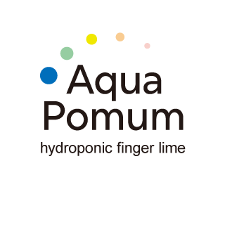 aquapomum