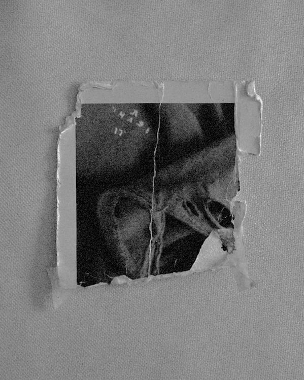 BREAK OUT PROJECT