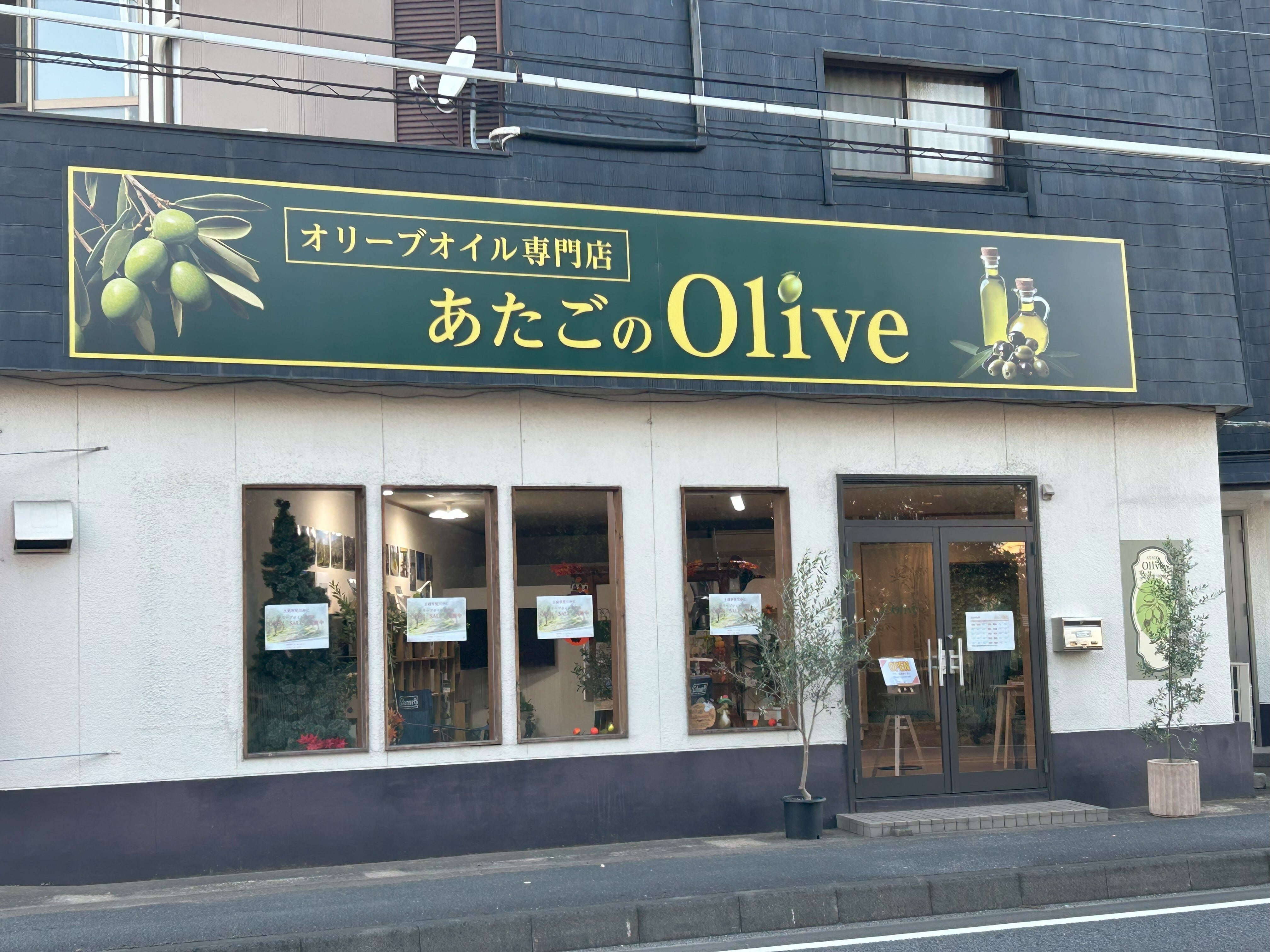 atagonoolive