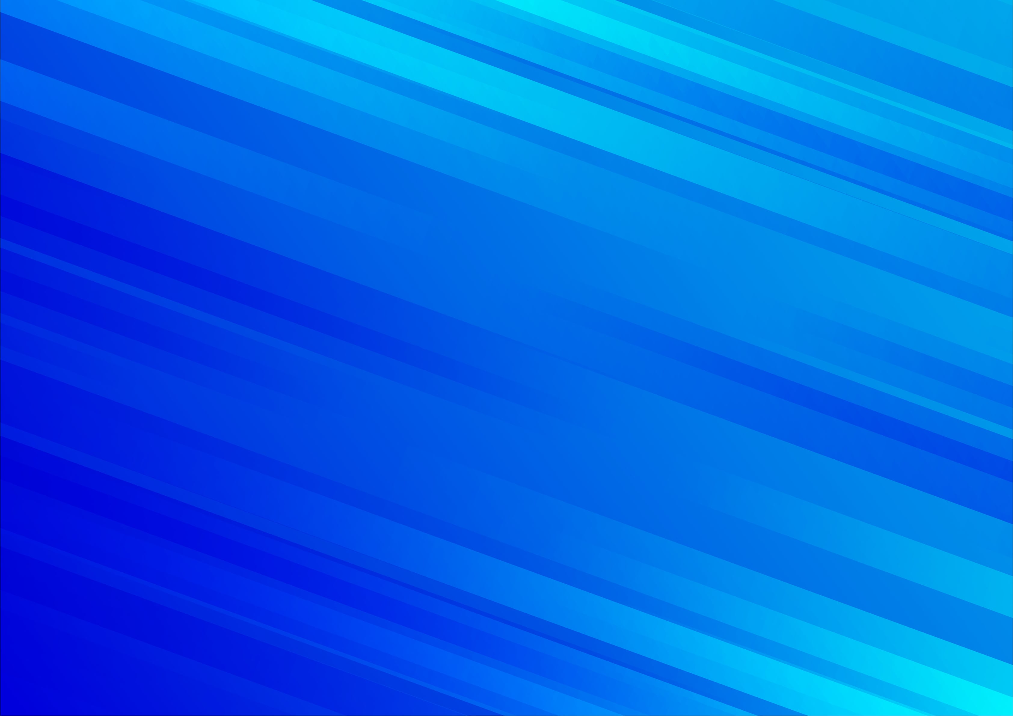 OFFICIAL WEBSITE