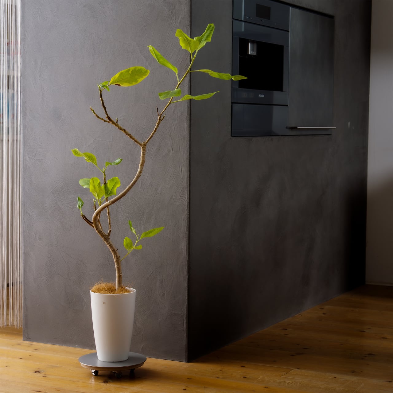 「こんなものが欲しい」
「こんなもの、ステンレスで作れないかな？」
そんな日常のひらめきも、どうぞお気軽に
【誂 atsurae】へご相談ください。

お問い合わせフォームより承っております。
写真をクリック。

あなたの発想から
新しい一品として
生まれていくかもしれません。


もちろん、現在のラインナップ商品を
そのままご注文いただくことも可能です。