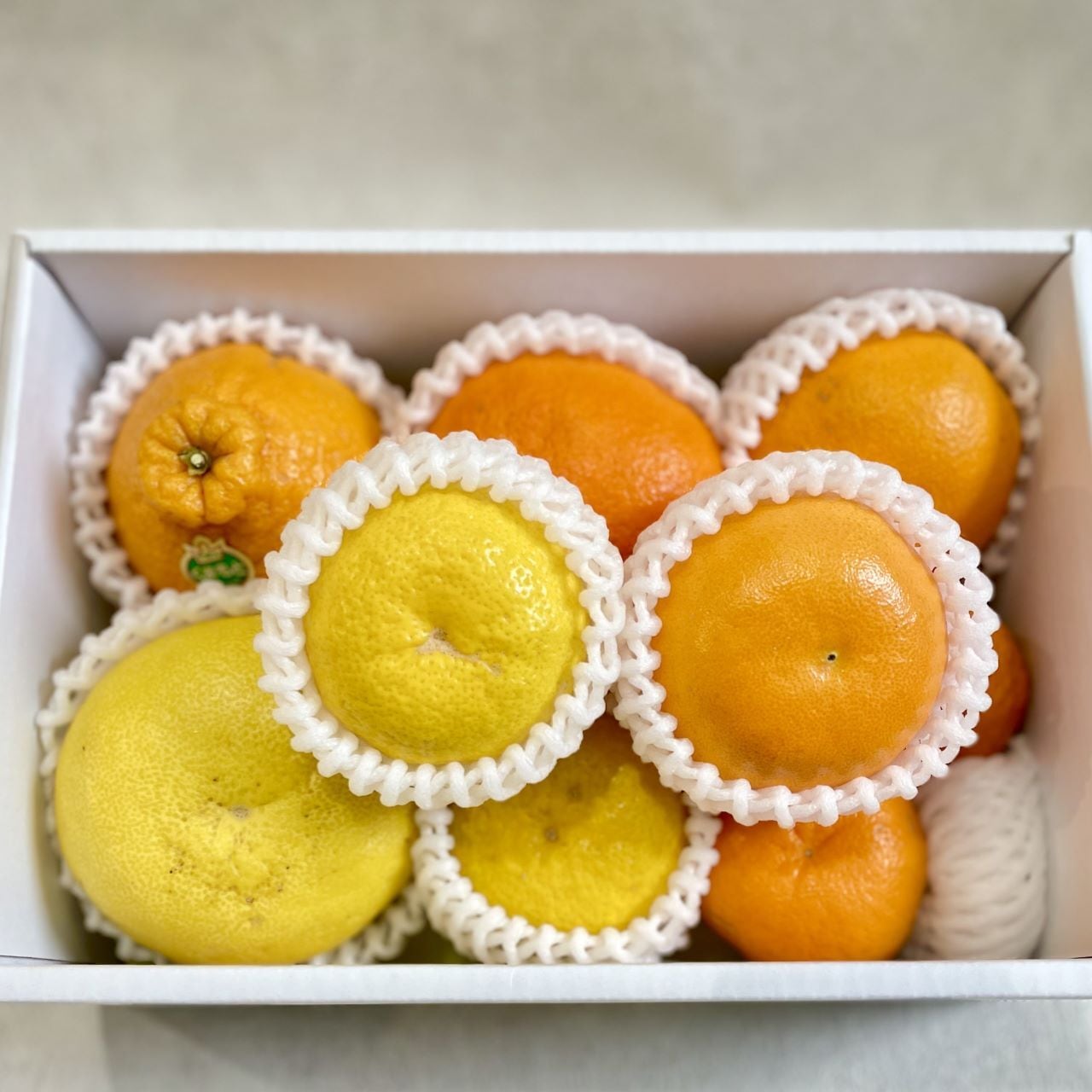 店長厳選！柑橘食べ比べセット
