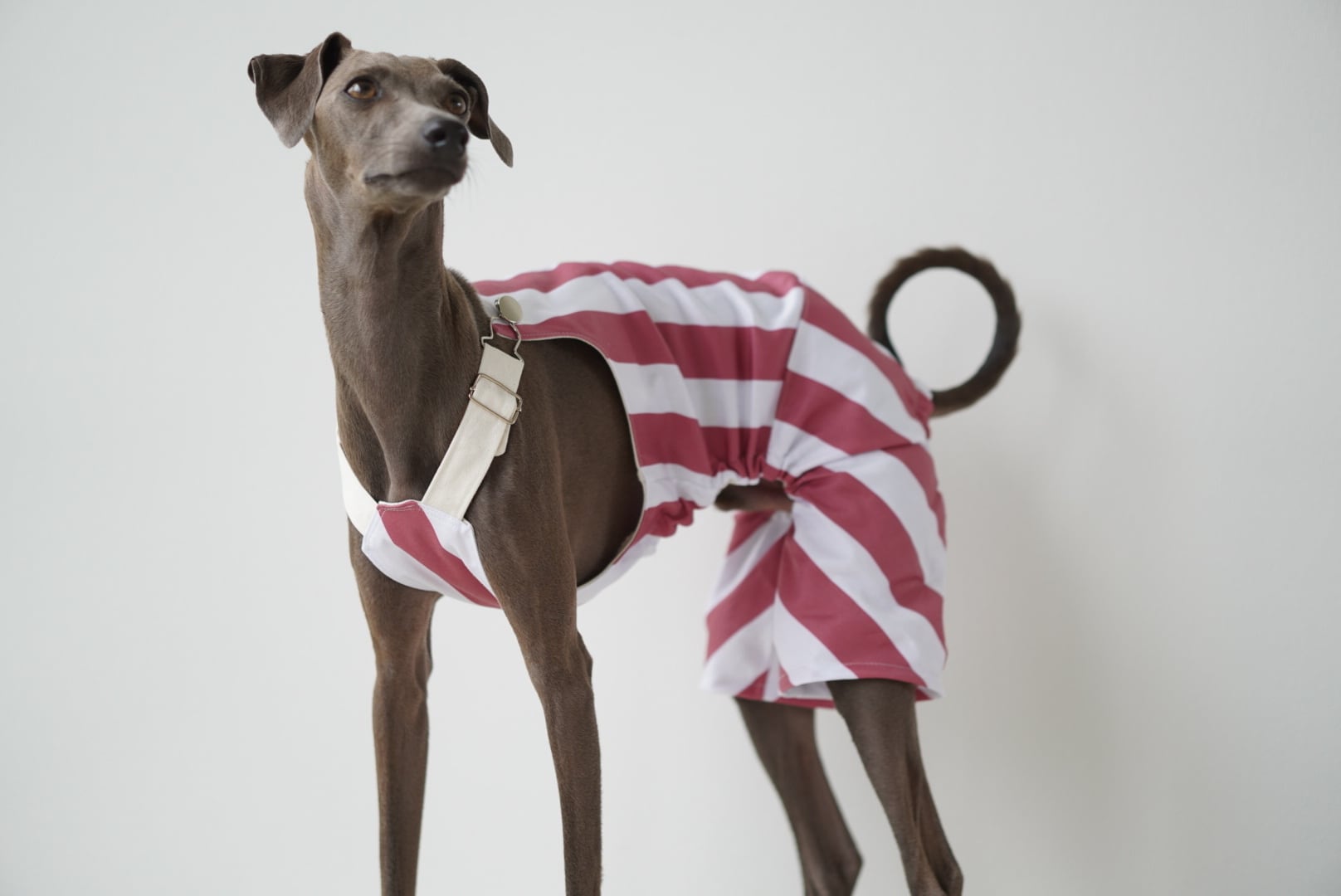 stripe short salopette