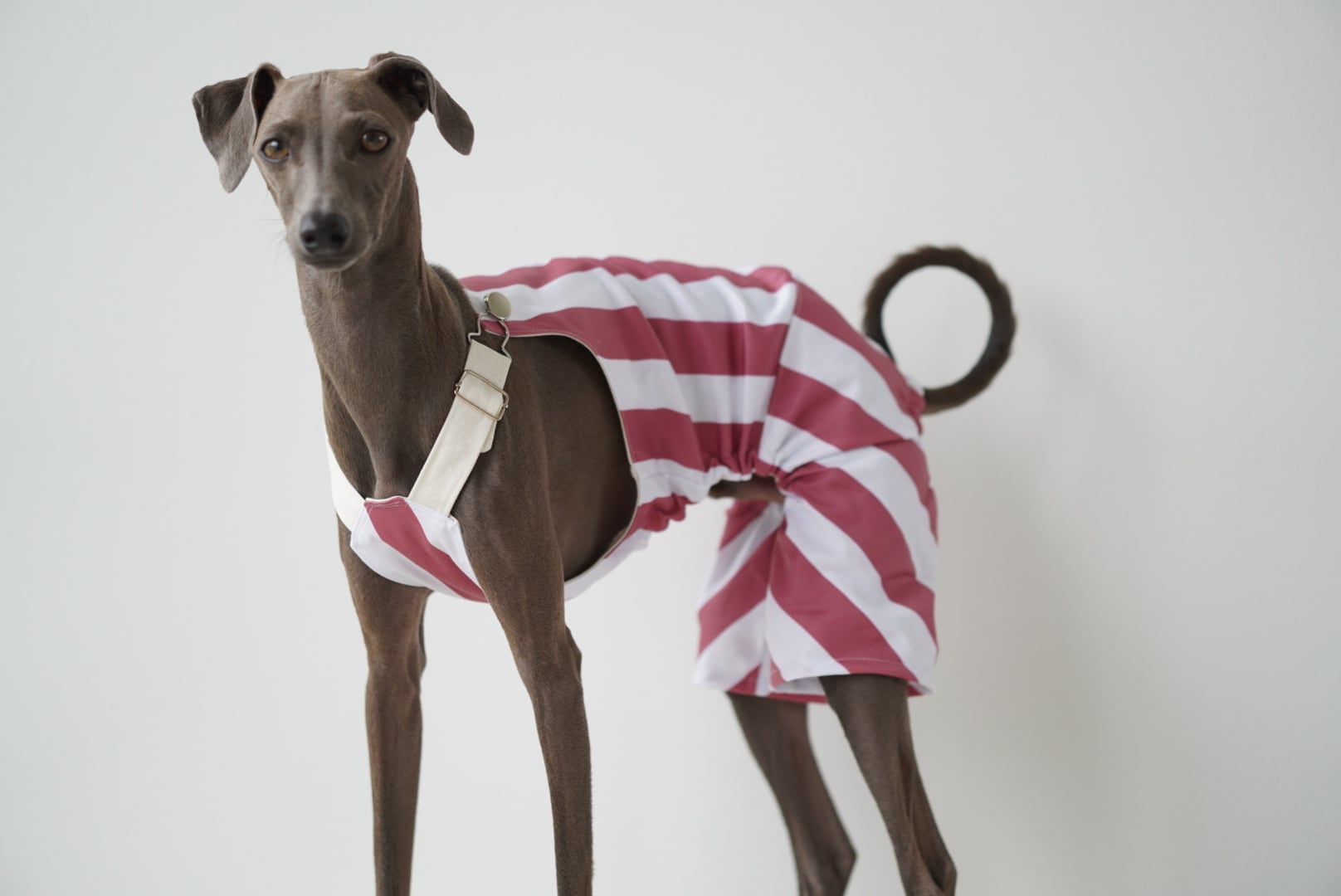 stripe short salopette