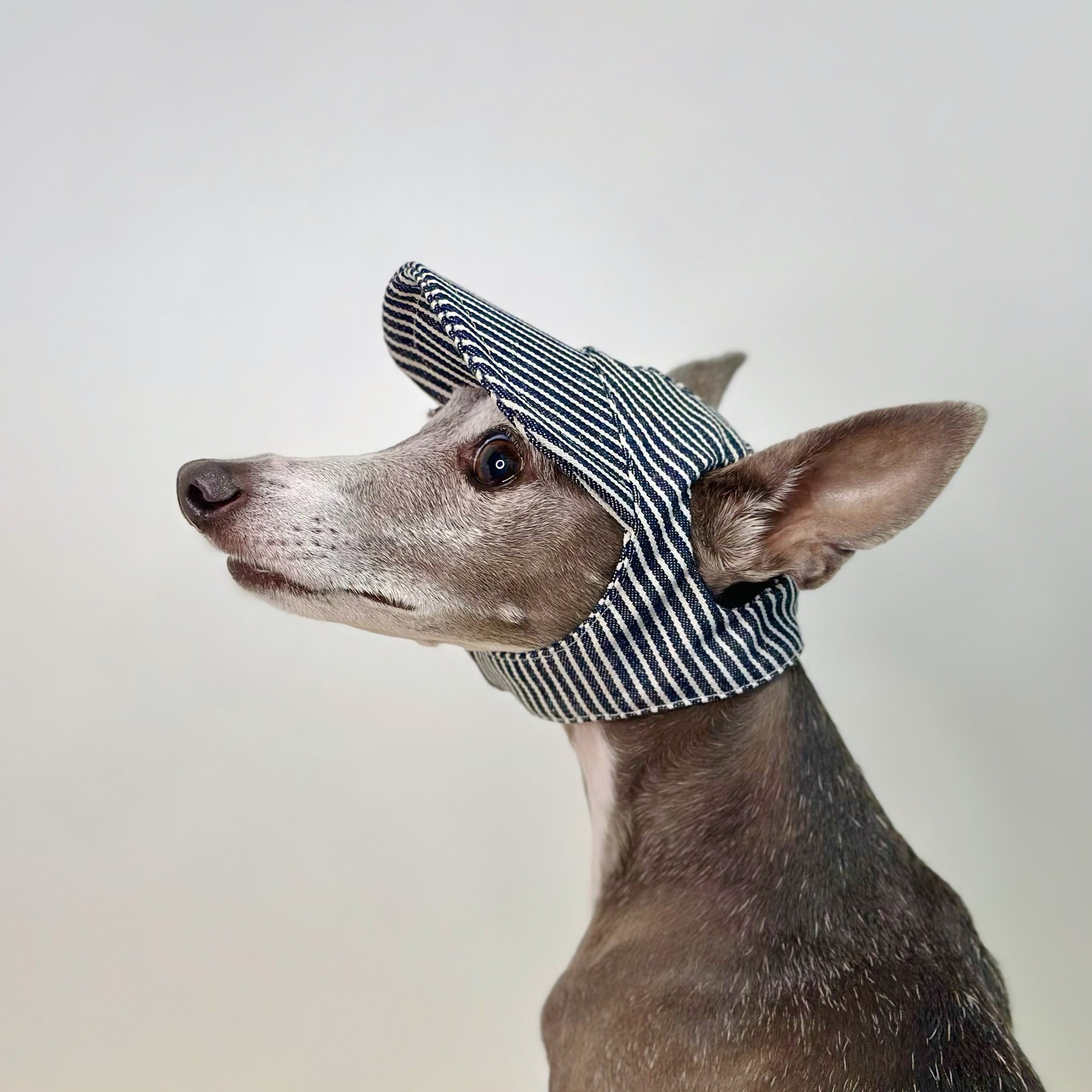 hickory denim cap