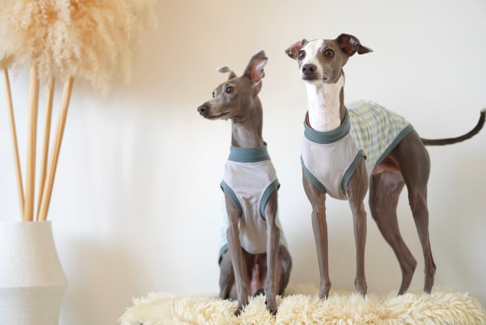poko poko gingham check tank