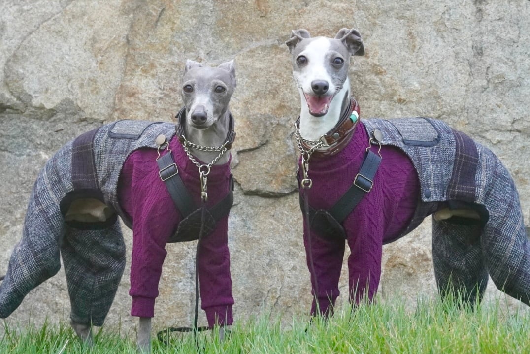 mix tweed check salopette

