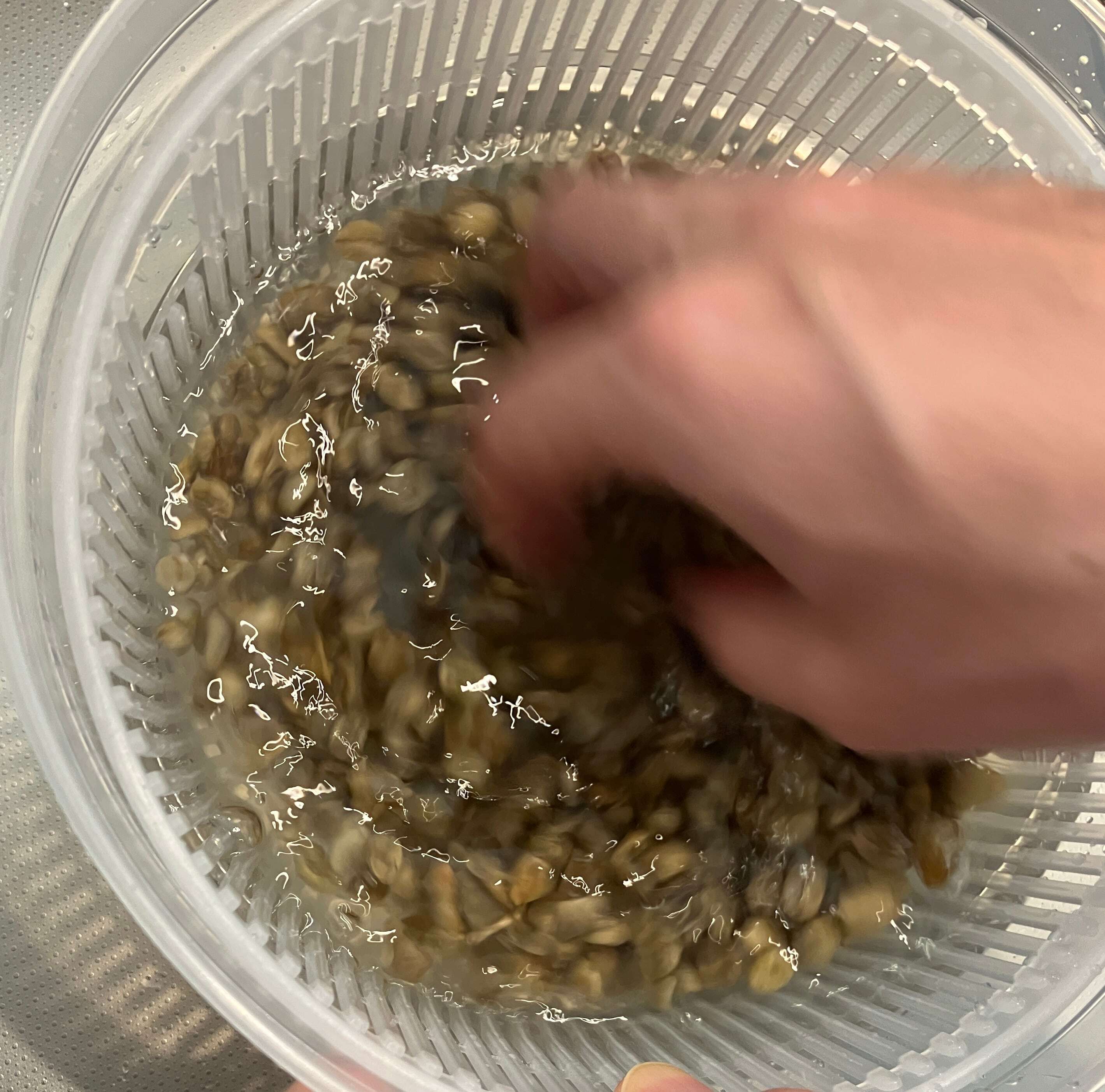 私たちの手仕事・イメージ画像