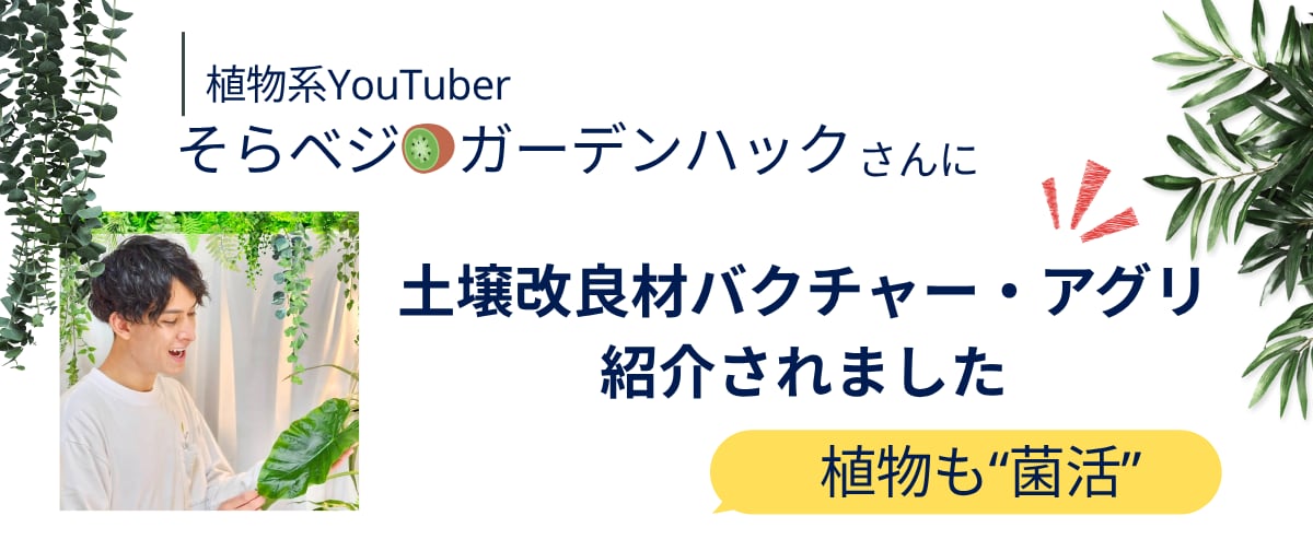 BAKTURE公式ショップ