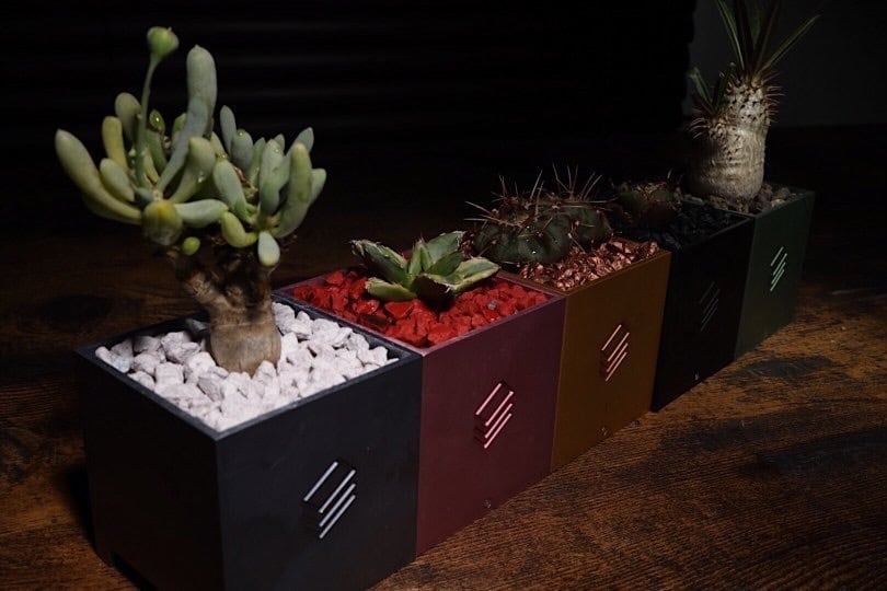 baseplantz baseplantz