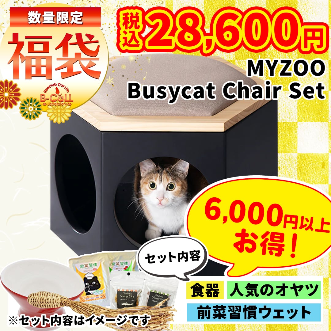 猫ご飯　バラ売り可 ラシーネ 日本猫 にぼし削り入り | 日本ペットフード株式会社