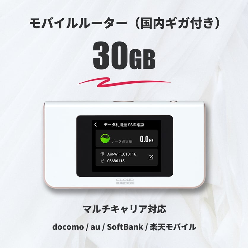 国内ギガ（30GB）+ モバイルルーター（HUNDRED Wi-Fi チャージ Type 本体）