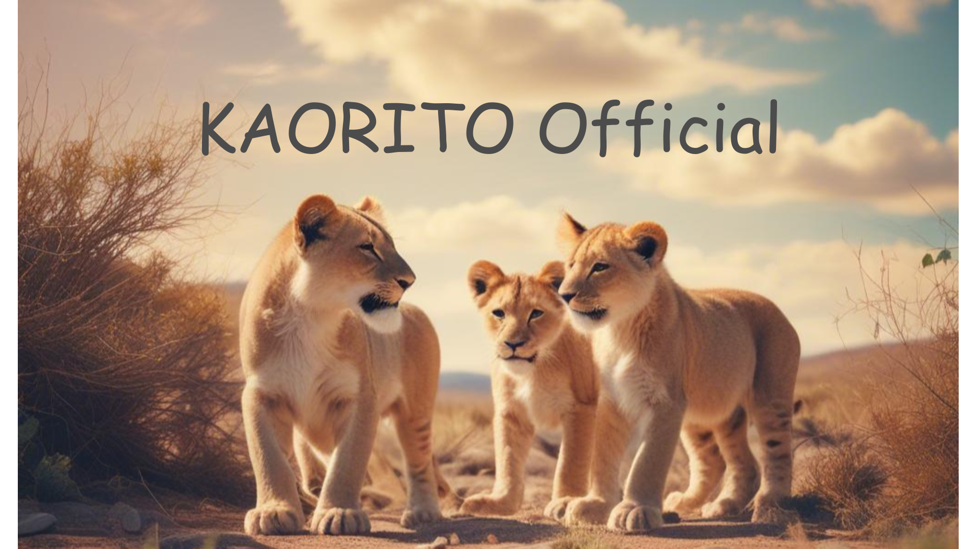 KAORITO PROJECT