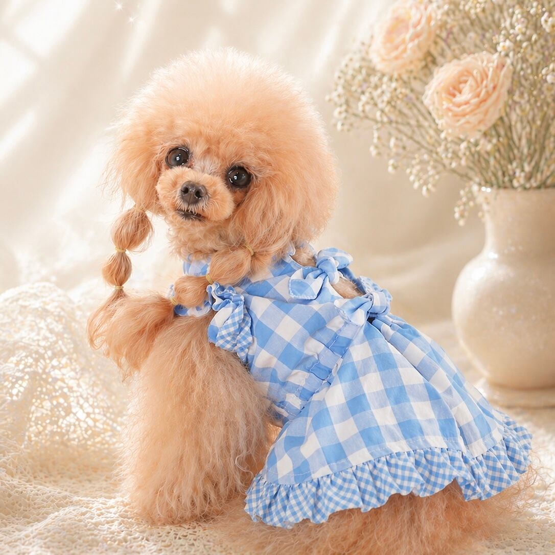 アトリエGG 犬服　ニット2.5 アトリエGG 犬服 ニット2.5 【公式通販】
