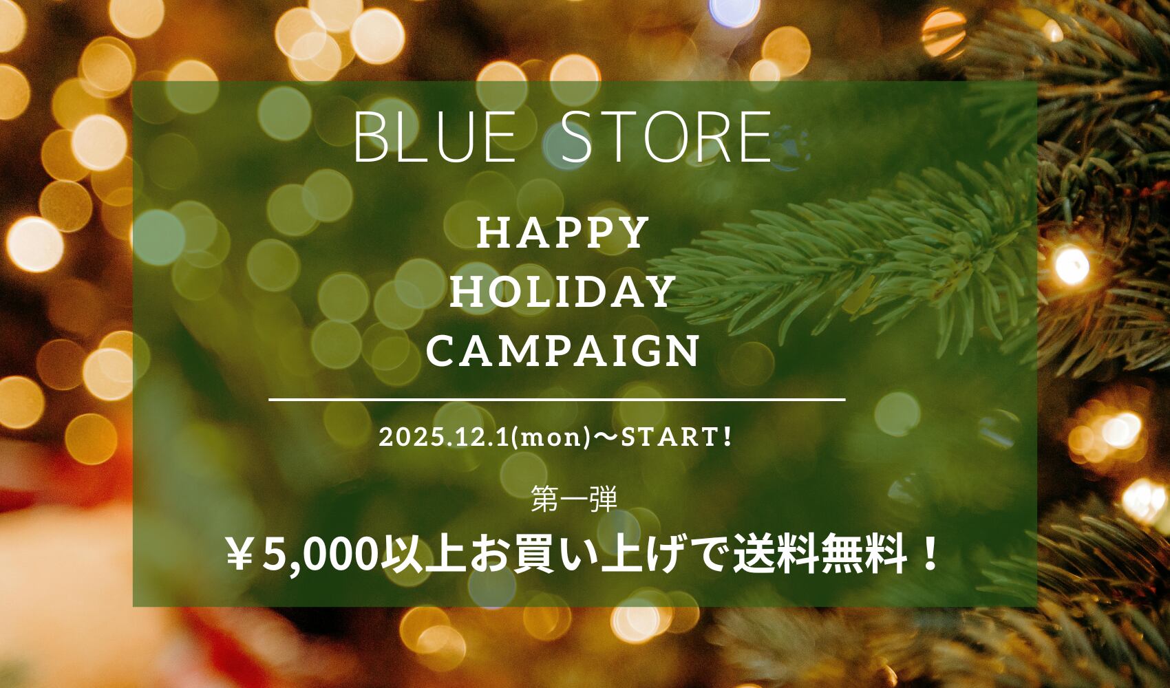 BLUE STORE