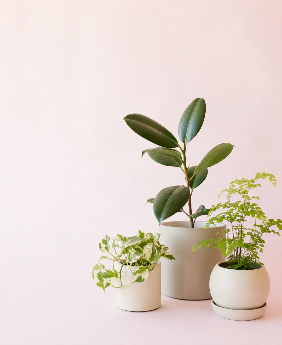 Green
is the new
Black.